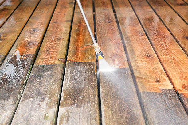 Best Dumpster Area Cleaning  in Orono, MN