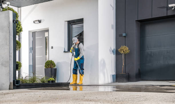 Best Roof Washing  in Orono, MN